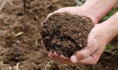 a talaj, mint paraziták emberi fertőzésének forrása