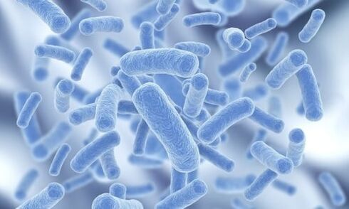 baktériumok az emberi testben