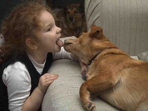 a gyermek megcsókolja a kutyát, és parazitákkal fertőződik meg